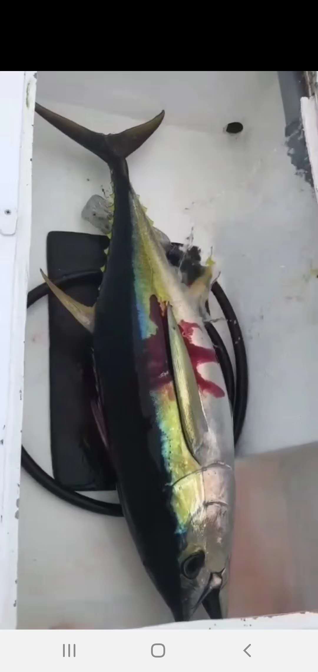 Jean&Tuna 微信圖片_20200310111946.jpg